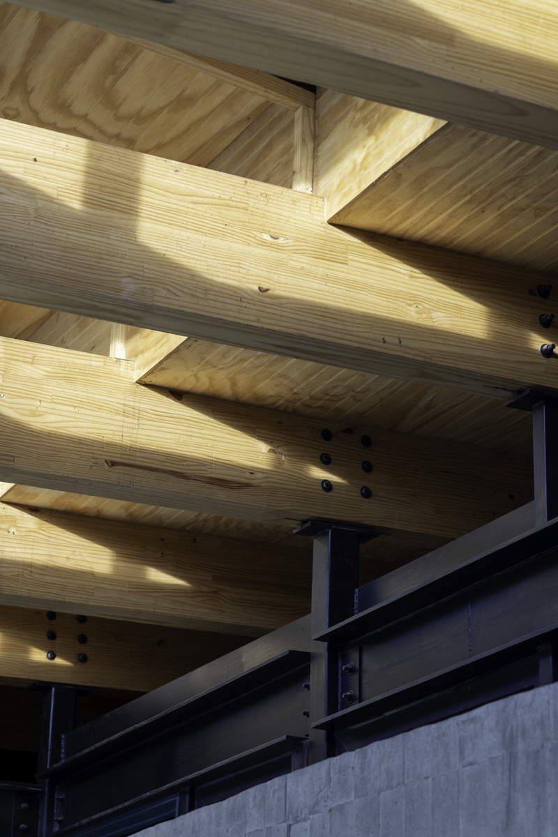 a-d8 chicureo madera